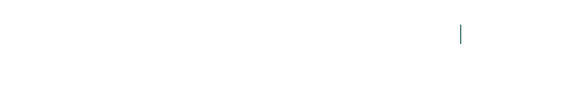 Meester Jake
